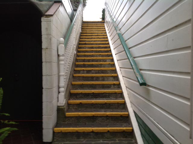 Thw edges of the steps at Corban Estate Arts Centre were painted to make them safer