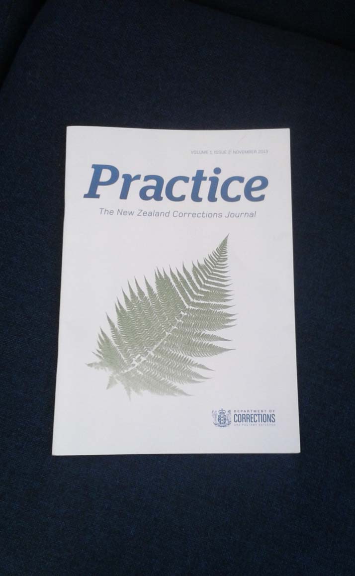 Practice, the Corrections Journal