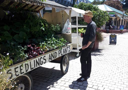 Photographing Tauranga Historic Village